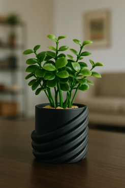 Kruka Spiral