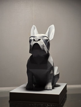 Fransk bulldog