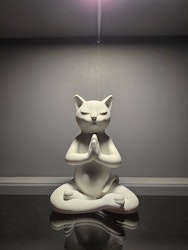Zen katt