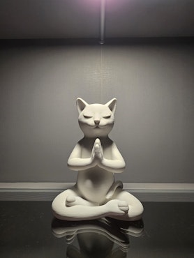Zen katt