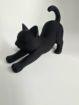 Stretchande katt