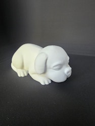 Sovande hundvalp