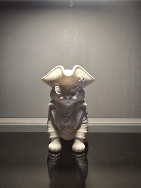 Piratkatt
