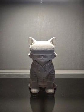 🕶️ VR-Katt