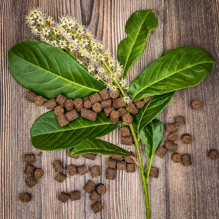 Petgood® Insektsbaserat Hundgodis för Glänsande Päls 100g
