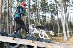 30-dagarsutamningen K9 Biathlon