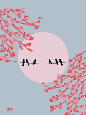 Birds