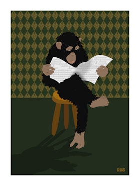 Monkey