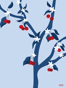 Cherry