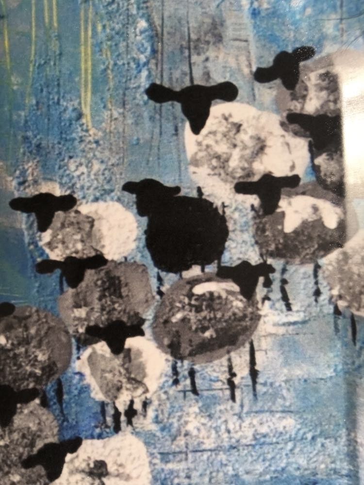 Det svarta fåret är en del av denna blå bricka med en massa gotlandsfår på.