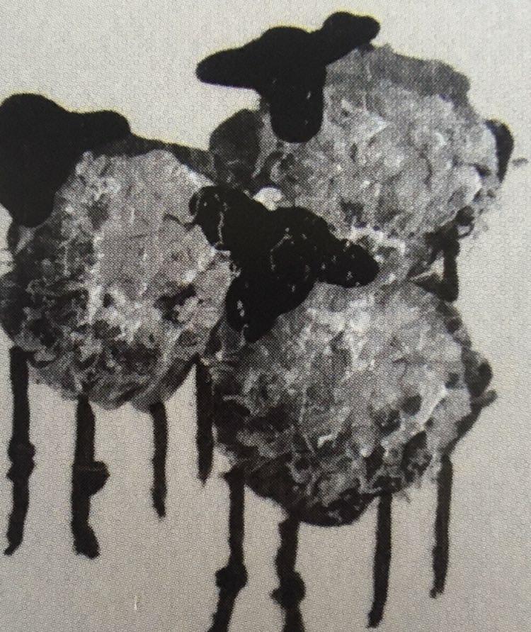 Närbild på konsttryck från originalkonst på får av C.Brüggmann som specialiserat sig på fårkonst.