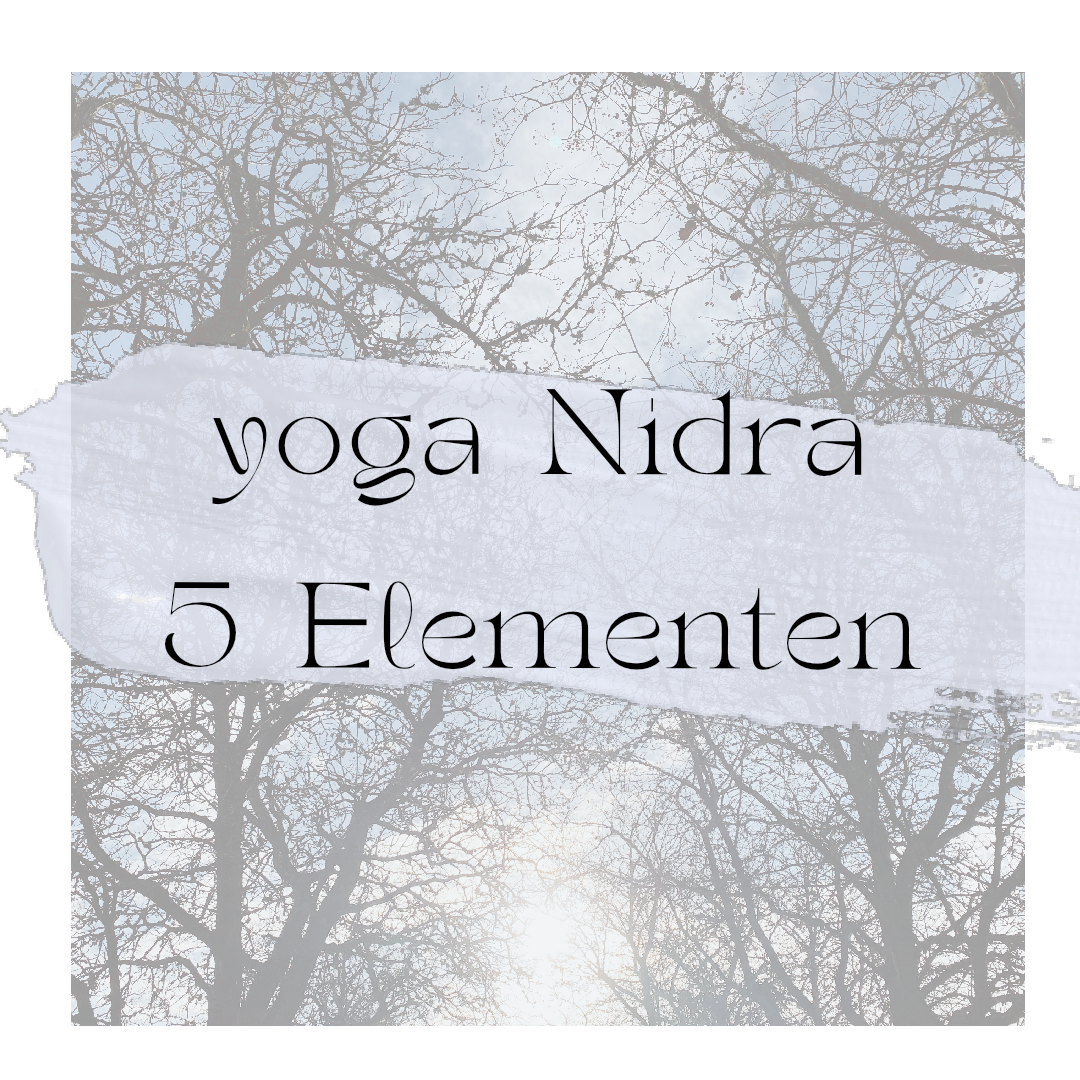 Yoga Nidra 5 elementen ( NY)