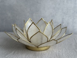 Lotus Lyktan small