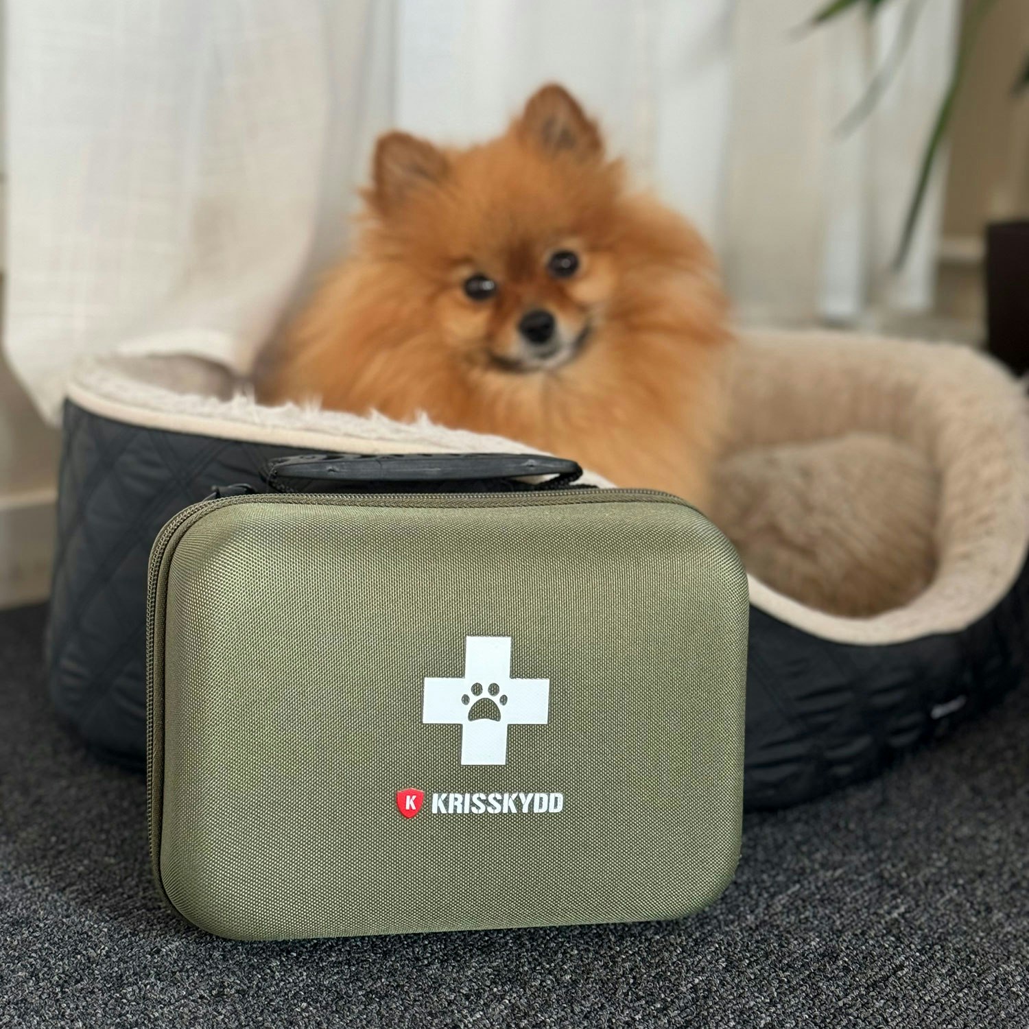 Första hjälpen-kit för hund och katt