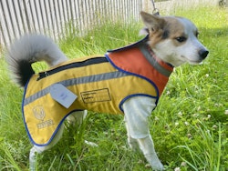 Mithrill hundbrynja
