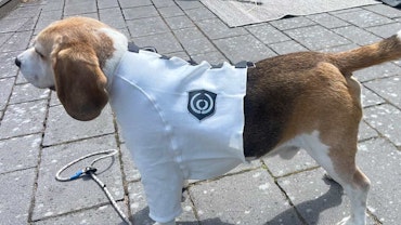 Mithrill Hund