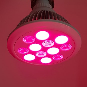 Red mini (660 & 850 nm) -  röd/Infraröd ljus lampa