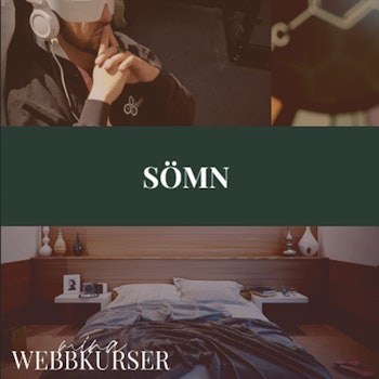 Optimera din sömn - Sömnkurs