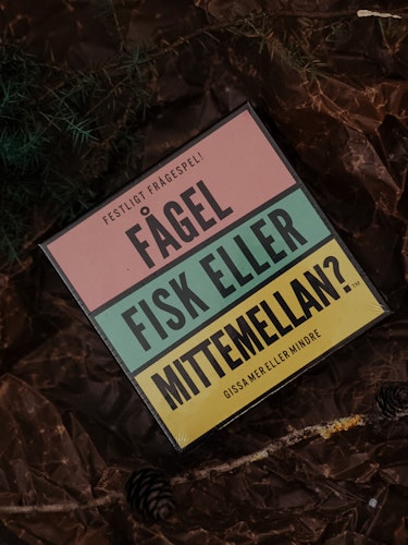 Spel - FÅGEL, FISK ELLER MITTEMELLAN