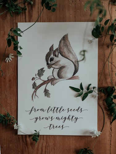 Poster LITTLE SEEDS A4