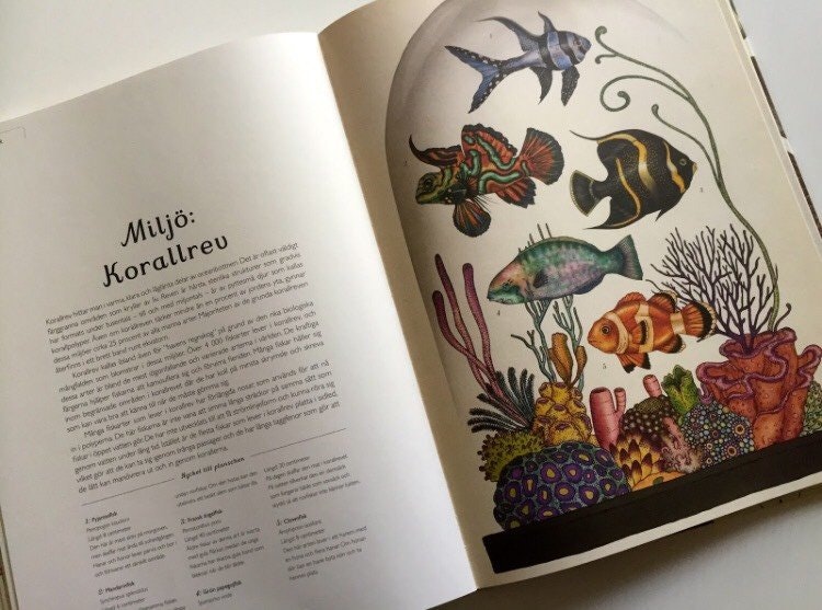 Animalium BOK