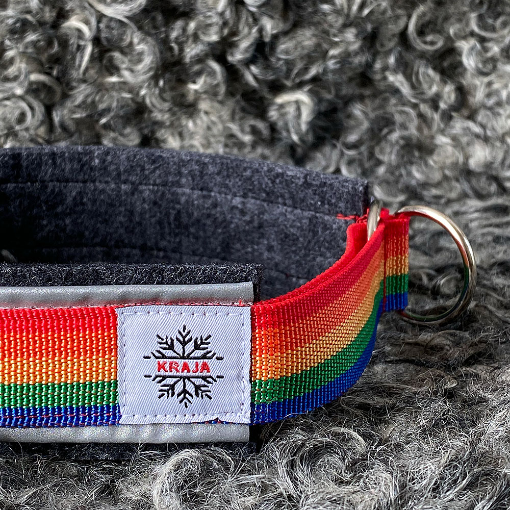Halsband Pride i ull med regnbågsband och reflex