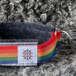 Halsband Pride i ull med regnbågsband och reflex