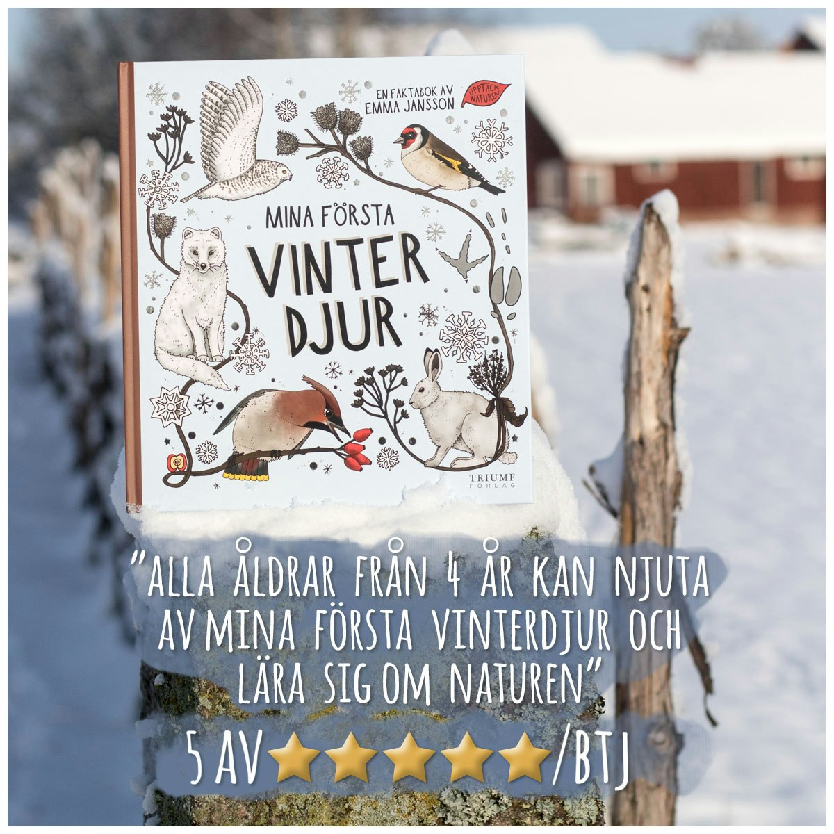 Faktabok Mina första vinterdjur av Eplaros