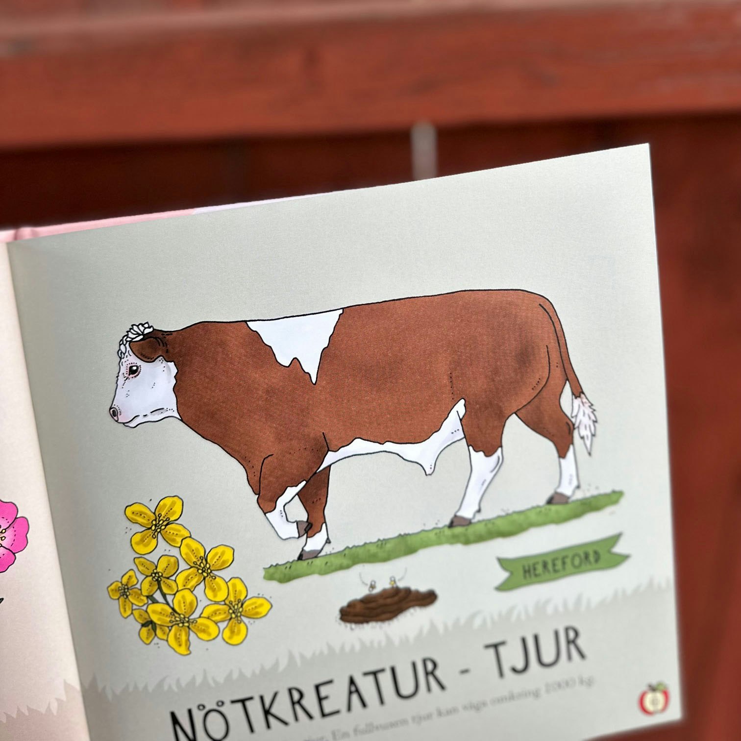 Pekbok Upptäck bondgårdens djur av Eplaros