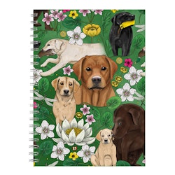 Eplaros spiralblock Labrador