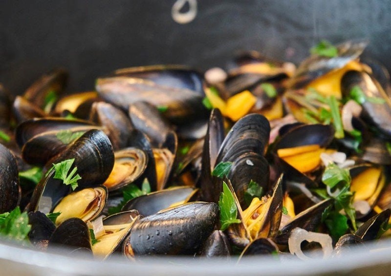 🦞 Premiär för Skaldjursmys – 22 april! 🦞