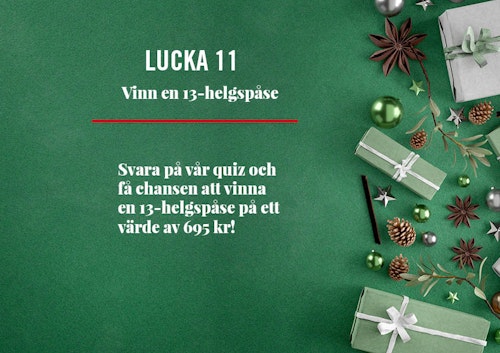 Lucka nr 11