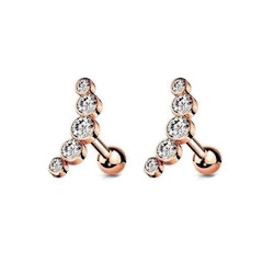 Roséguldörhängen 6x14 mm