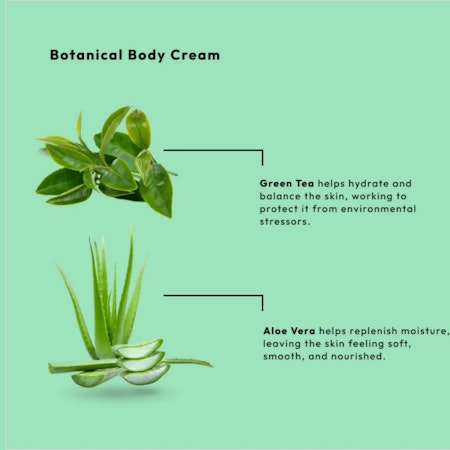 Body Cream - Green Tea