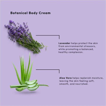 Body Cream - Lavendel