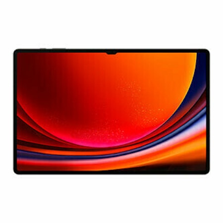 Samsung Galaxy Tab S9 Ultra 512GB Sort