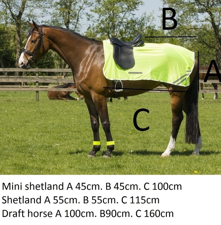 2:a sortering Ridtäcke Minishettis-Kallblod - SB Ridsport
