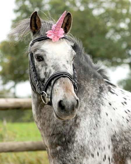 Qhp Unicorn horn (flera färger)