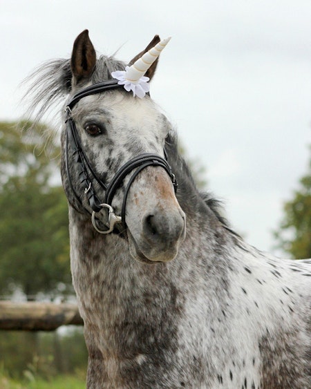 Qhp Unicorn horn (flera färger)