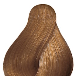 Deep Brown 8/73 Arizona Gold - Wella Color Touch