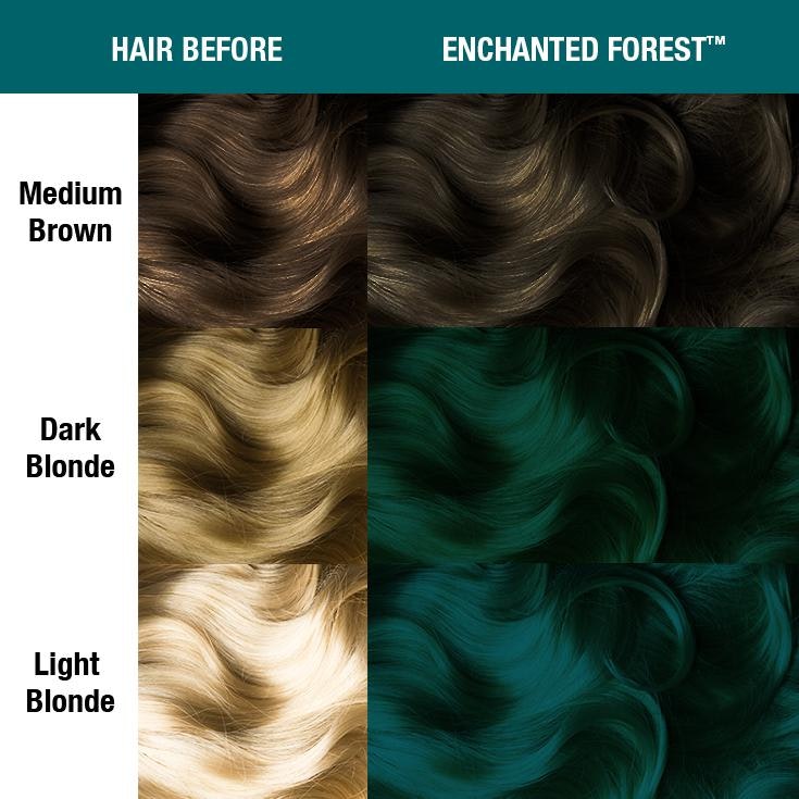 Enchanted Forest - Classic - Manic Panic