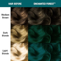 Enchanted Forest - Classic - Manic Panic