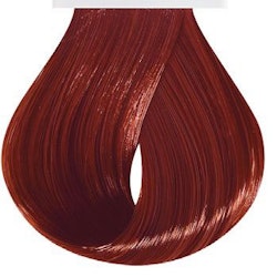 Red chestnut Brown - Fab Pro