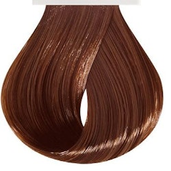 Chestnut Blonde - Fab Pro