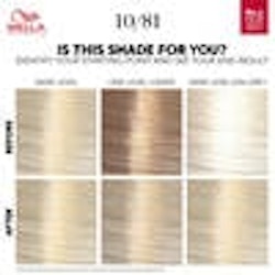 10/81 Platinum Blonde - Wella Color Touch Pure Naturals