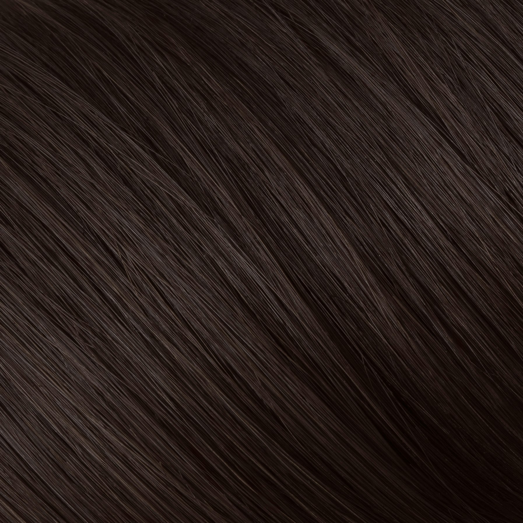 Ebony 2.3 - Naturigin