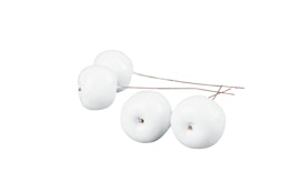 Äpple Vit/Tråd 35 mm- 4 pack