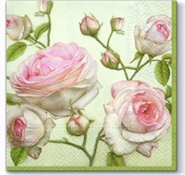 Servetter- Vackra rosor och knoppar