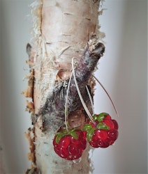 Åkerbär - örhängen