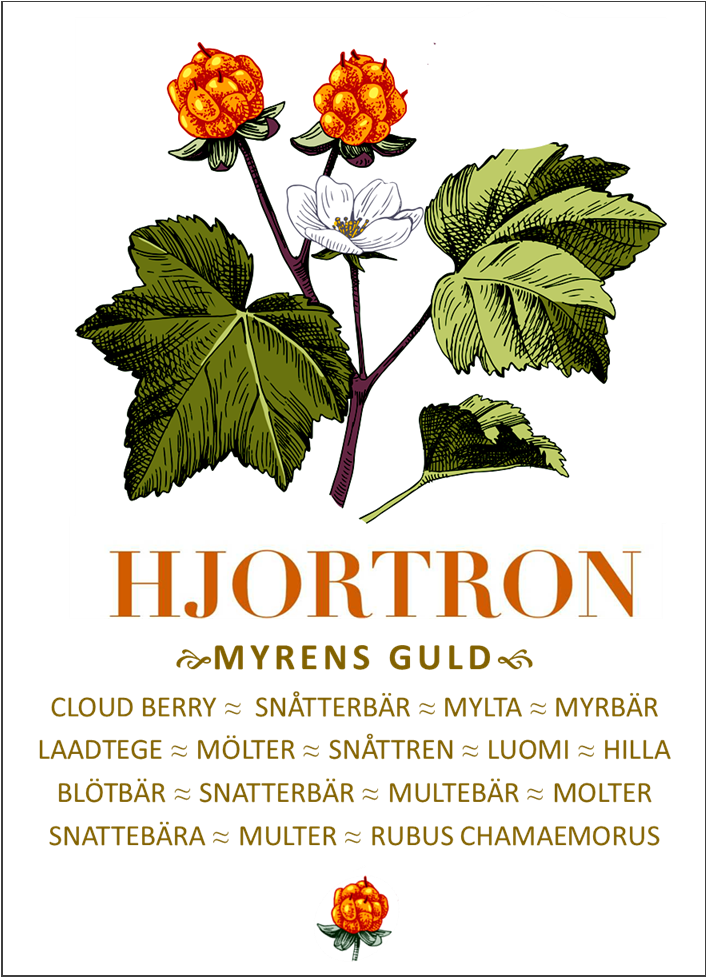 Handduk - Hjortron